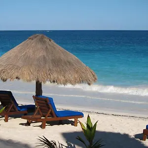 sol-caribe-punta-allen.allrivieramayahotels.com/